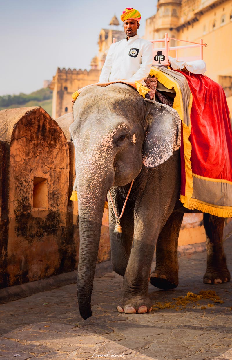 Same Day Jaipur Tour from Delhi